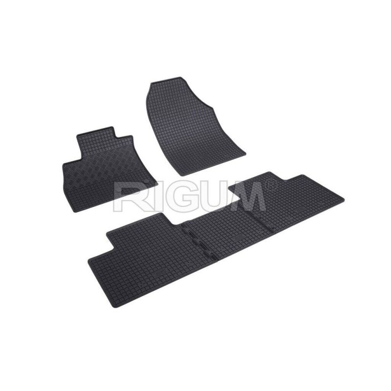 Gumene  patosnice  Renault Scenic 4 2016-2024 (904369)