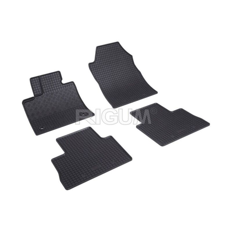 Gumene Patosnice Rigum Toyota Rav 4 2019-2024
