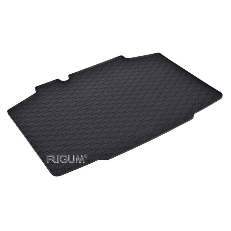 Gepek patosnica  Skoda Scala 2019-2024 (434170)