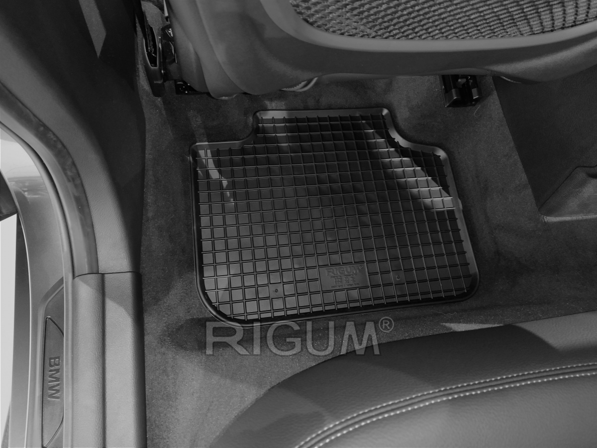 Gumene Patosnice Rigum Bmw X2 2018- (F39) (903553) 3 Gumene Patosnice Rigum Bmw X2 2018- (F39) (903553)